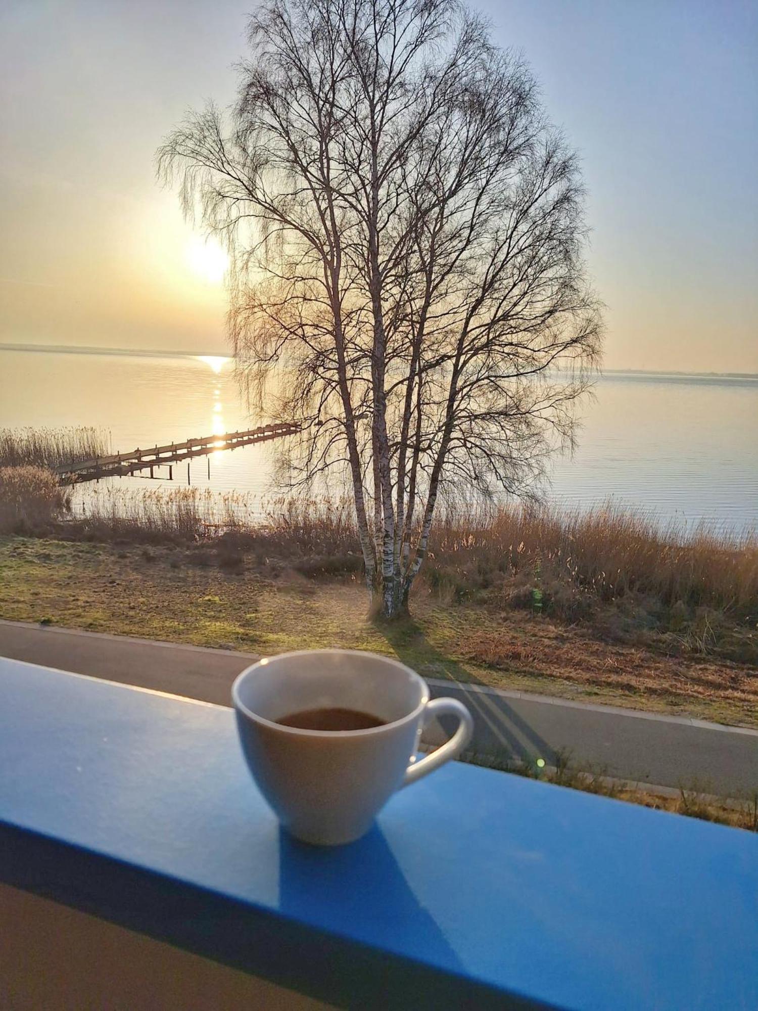 Ferienwohnung Sunrise - Mit Direktem Blick Auf Das Steinhuder Meer - ماردورف المظهر الخارجي الصورة